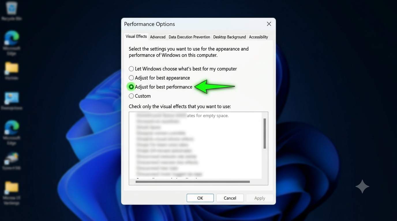 Windows 11 Performance Options window with Adjust for best performance selected